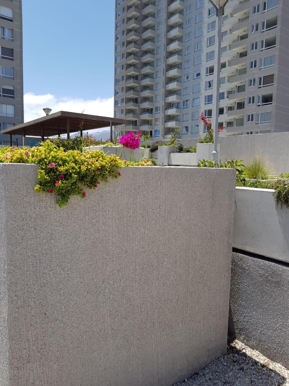 Hermoso Departamento Con Vista Al Mar Antofagasta Exterior foto